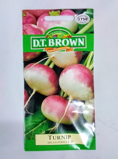 [SD0367] Seed Turnip Milan Purple Top 3.331g MFG2210
