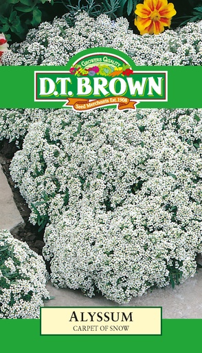 [SD0372] Seed Alyssum Carpet of Snow 0.416g MFG013