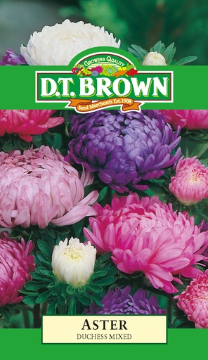 [SD0373] Seed Aster Duchess Mixed 0.371g MFG040