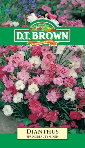 [SD0380] Seed Dianthus Spring Beauty 0.175g MFG155
