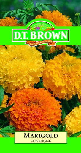 [SD0381] Seed Marigold Crackerjack1.078g MFG489
