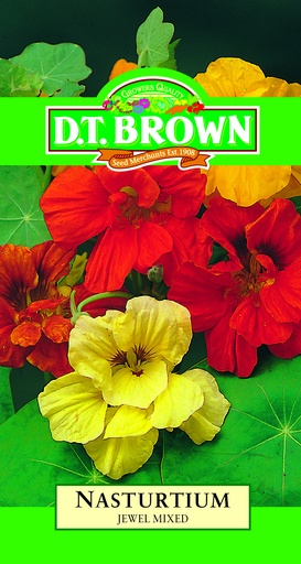 [SD0382] Seed Nasturtium JWL Mixed 5.65g MFG306