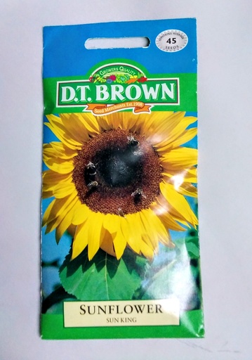[SD0384] Seed Sunflower Sun King 3.6g MFG493