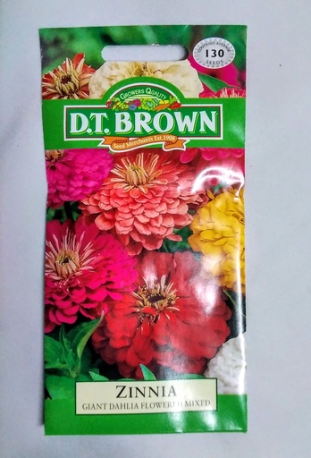 [SD0386] Seed Zinnia Giant Dahlia 1.113g MFG481