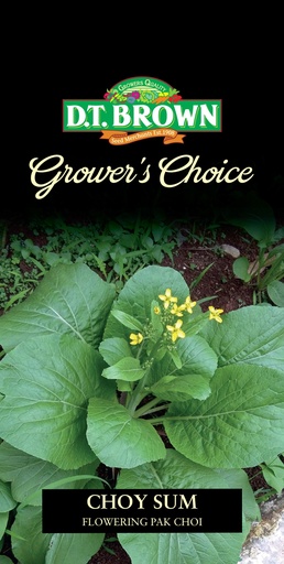 [SD0391] Seed Choy Sum'Flowering Pak Choi'0.658g MFG2324