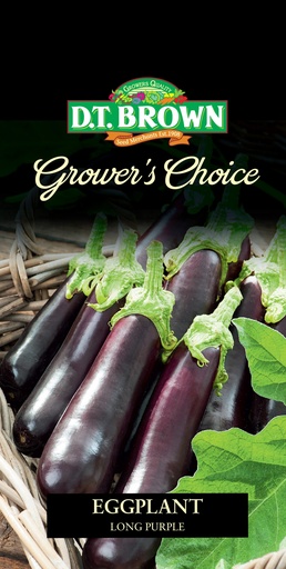 [SD0392] Seed Eggplant Long Purple 0.364g MFG2325