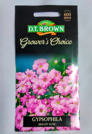 [SD0402] Seed Rose Gypsophila Bright 0.305g MFG2342