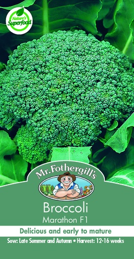 [SD0409] Seed Broccoli Marathon F1 0.277g MFG5339