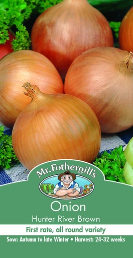 [SD0413] Seed Onion H.R.Brown 2.074g MFG5242