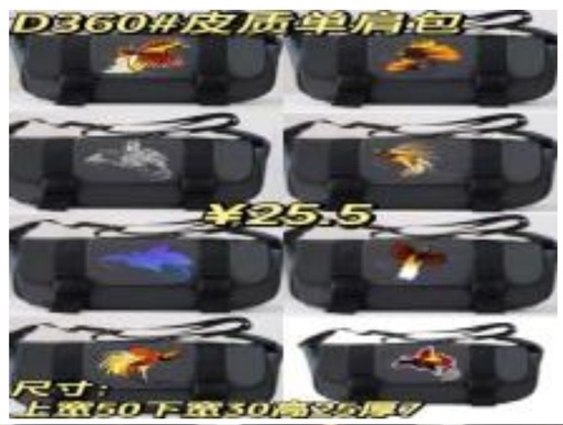 [VI6045] Bag Shoulder Travelling PNG D360#