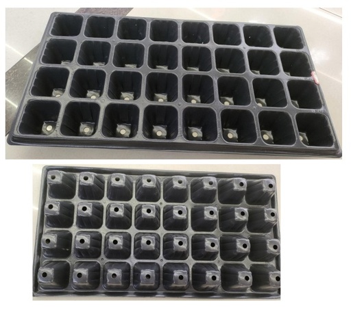 [GS1003] Nursery Tray 32 holes 120x5g