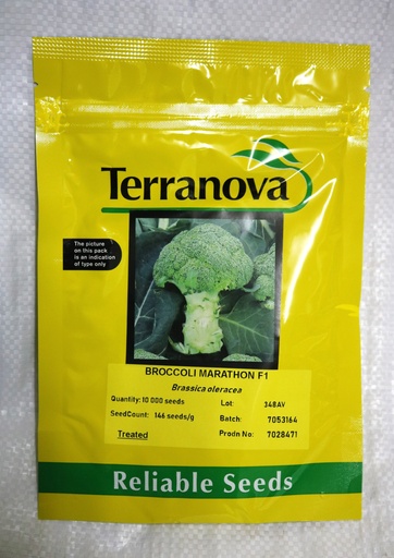 [SD0424] Seed Broccoli Marathon F1 10M 77g Terranova