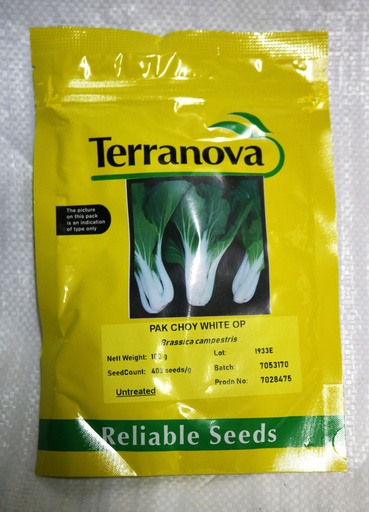 [SD0425] Seed Pakchoy White Op 100g Terranova 
