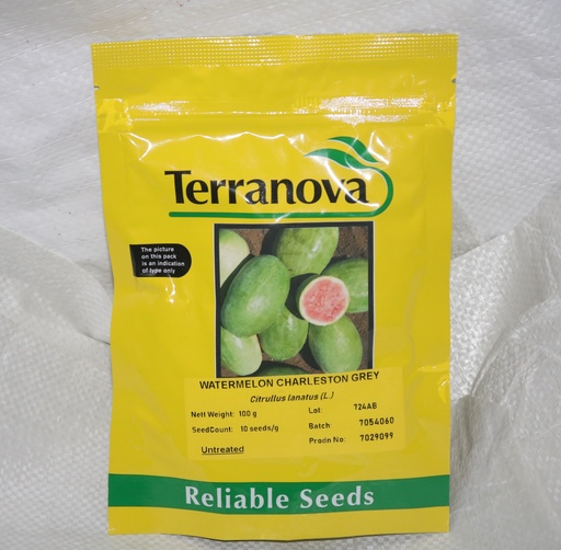 [SD0429] Seed Watermelon Charlestron 100g Terranova 