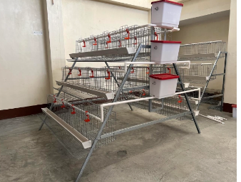 Chicken Layer Cage 96 Bird